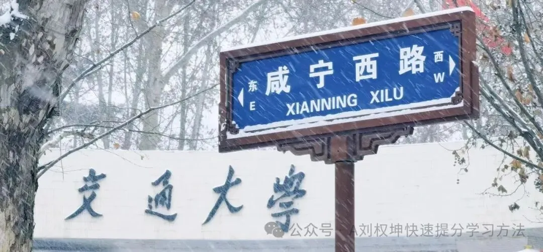 【北京市名校试卷】2026北京十一学校高二(下)期末数学及参考答案-第1张图片-四季读书网
