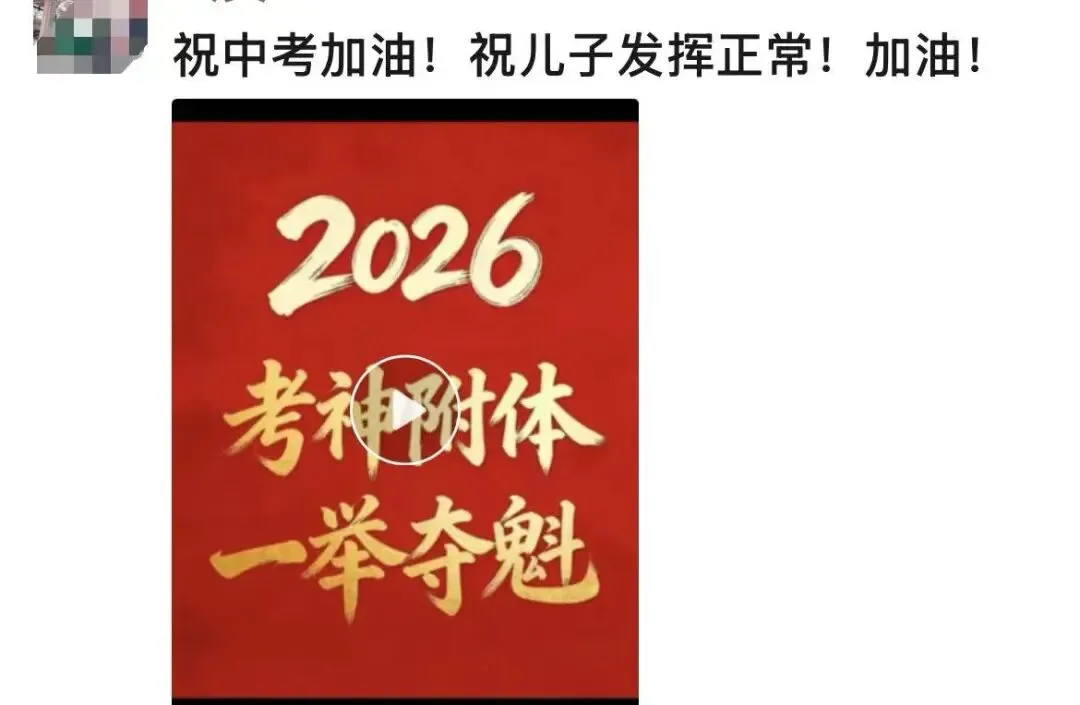 国内同龄人在参加中考,那个躲过小升初和中考的老二,在欧洲混成“学渣”了吗?-第3张图片-四季读书网 国内同龄人在参加中考,那个躲过小升初和中考的老二,在欧洲混成“学渣”了吗?-第3张图片-四季读书网