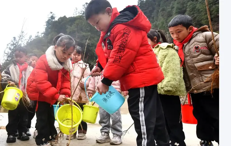 升学规划|中考分流后只有一条路?教育规划顾问的理性分析-第1张图片-四季读书网