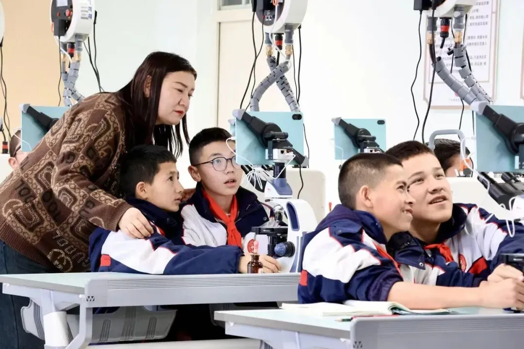 广州新城实验中学2026年中考志愿填报指引-第9张图片-四季读书网 广州新城实验中学2026年中考志愿填报指引-第9张图片-四季读书网
