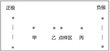 湖南六年真题及模拟分类:细胞的结构与分子组成-第1张图片-四季读书网