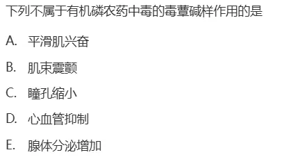 真题回顾 | 公卫执医(笔试)备考锦囊(No.2026055)-第5张图片-四季读书网