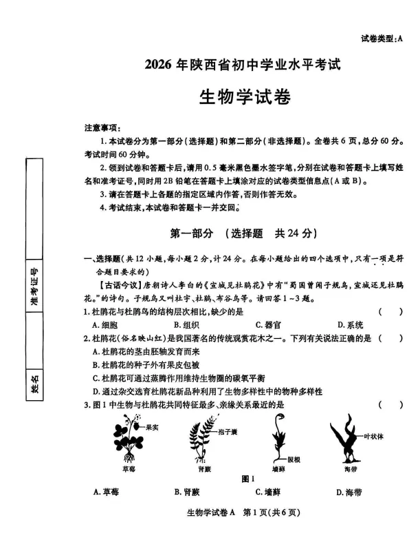 2026 年中考《生物真题汇编》多地区版(生物)-第6张图片-四季读书网 2026 年中考《生物真题汇编》多地区版(生物)-第6张图片-四季读书网