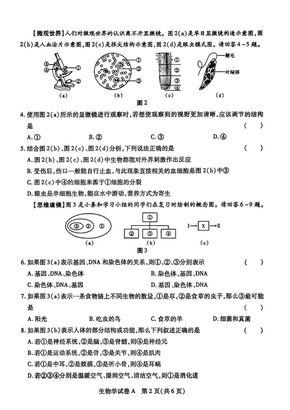 2026 年中考《生物真题汇编》多地区版(生物)-第7张图片-四季读书网 2026 年中考《生物真题汇编》多地区版(生物)-第7张图片-四季读书网