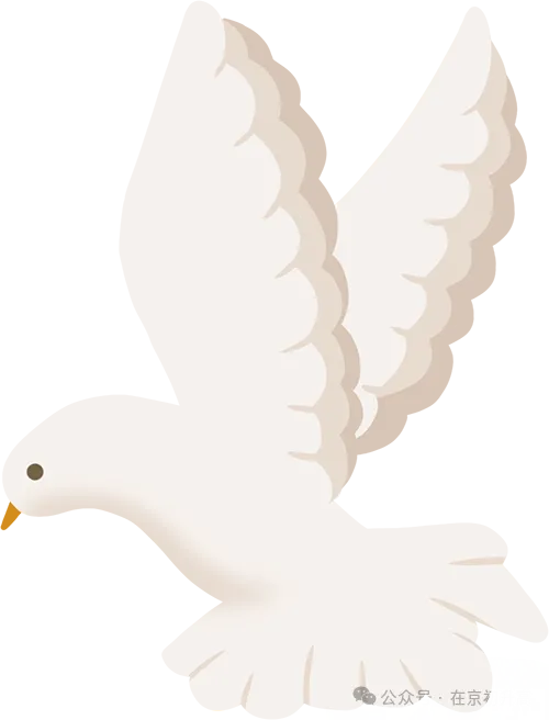 想免中考上高中?0.5+3直升、登记入学等路径,该如何选择?-第4张图片-四季读书网