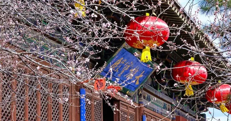 大同市中考体育考试4月15日开考!具体请看→-第9张图片-四季读书网 大同市中考体育考试4月15日开考!具体请看→-第9张图片-四季读书网