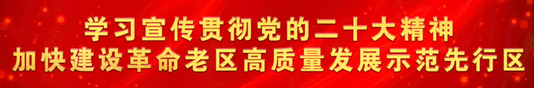 信丰县教体局举办2023年体育中考工作培训活动-第1张图片-四季读书网 信丰县教体局举办2023年体育中考工作培训活动-第1张图片-四季读书网