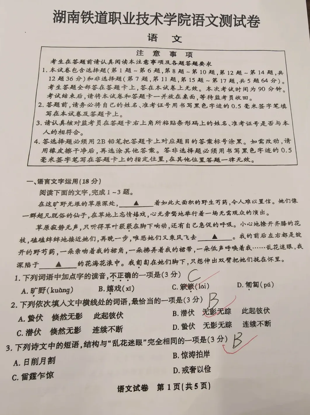 2026湖南铁道职业技术学院单招真题卷-语文-第1张图片-四季读书网