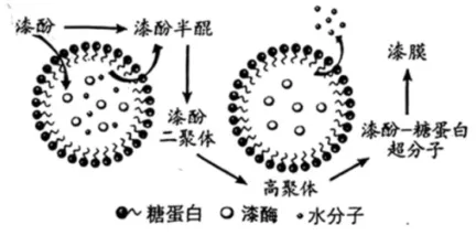 2026年湖北省中考语文真题-第4张图片-四季读书网