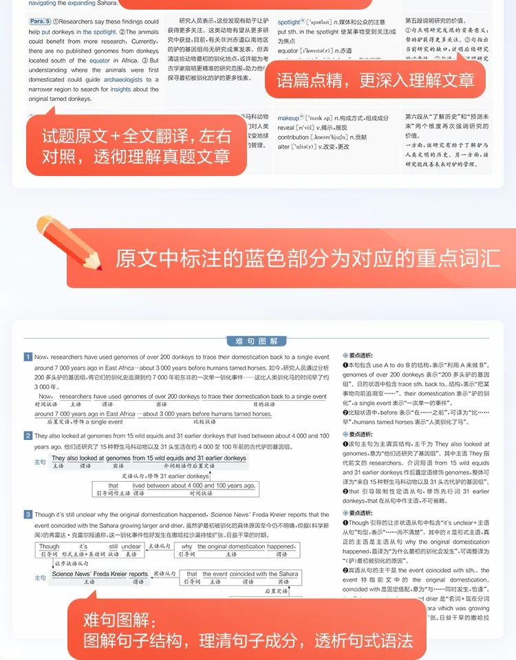 打卡上岸!考研真题高频词组 | Day31-第13张图片-四季读书网