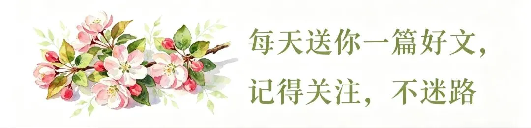 中考高分作文 | 题型&(收官)附范文-第1张图片-四季读书网 中考高分作文 | 题型&(收官)附范文-第1张图片-四季读书网