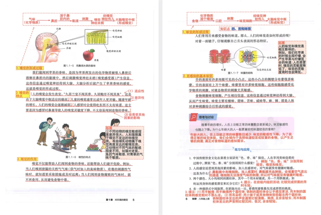 初中预习复习必备|全科笔记+真题汇总-第14张图片-四季读书网 初中预习复习必备|全科笔记+真题汇总-第14张图片-四季读书网