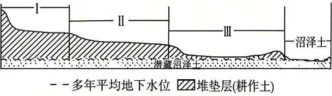 高考真题|2026河北卷7~8题完整分析(兴化荡田:微地形里的农耕智慧)-第2张图片-四季读书网 高考真题|2026河北卷7~8题完整分析(兴化荡田:微地形里的农耕智慧)-第2张图片-四季读书网