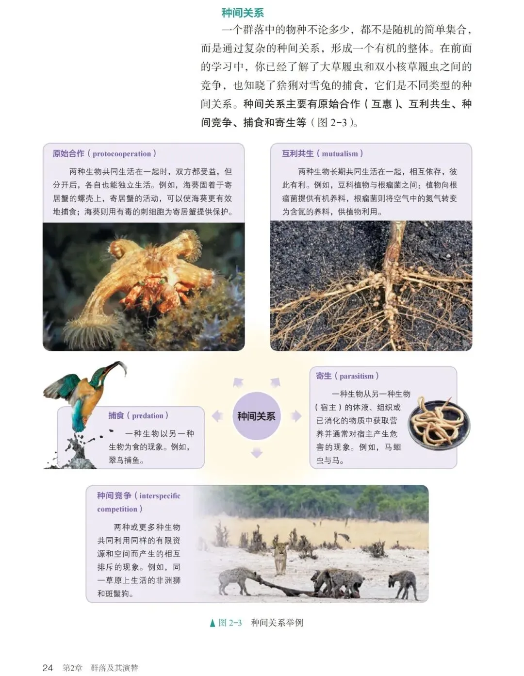 真题反思:萎缩流域的物种间竞争加强-第3张图片-四季读书网