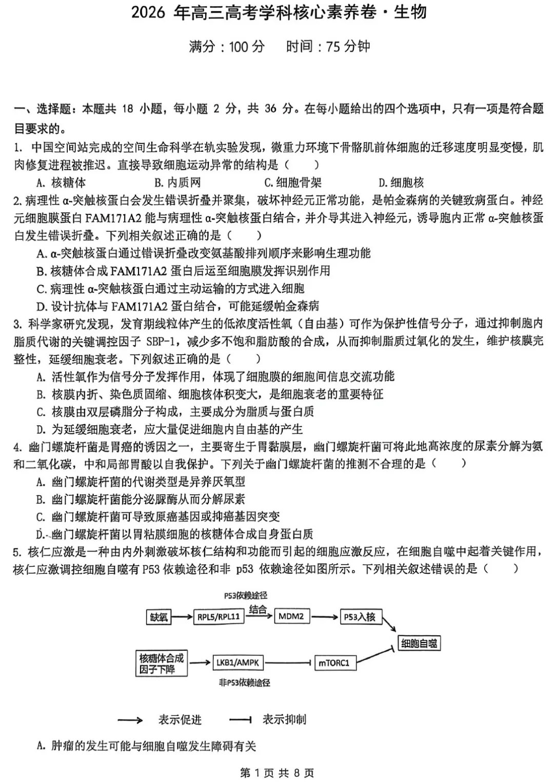 华中师范大学第一附属中学2026届高三模拟考试生物学试题及答案解析-第3张图片-四季读书网 华中师范大学第一附属中学2026届高三模拟考试生物学试题及答案解析-第3张图片-四季读书网