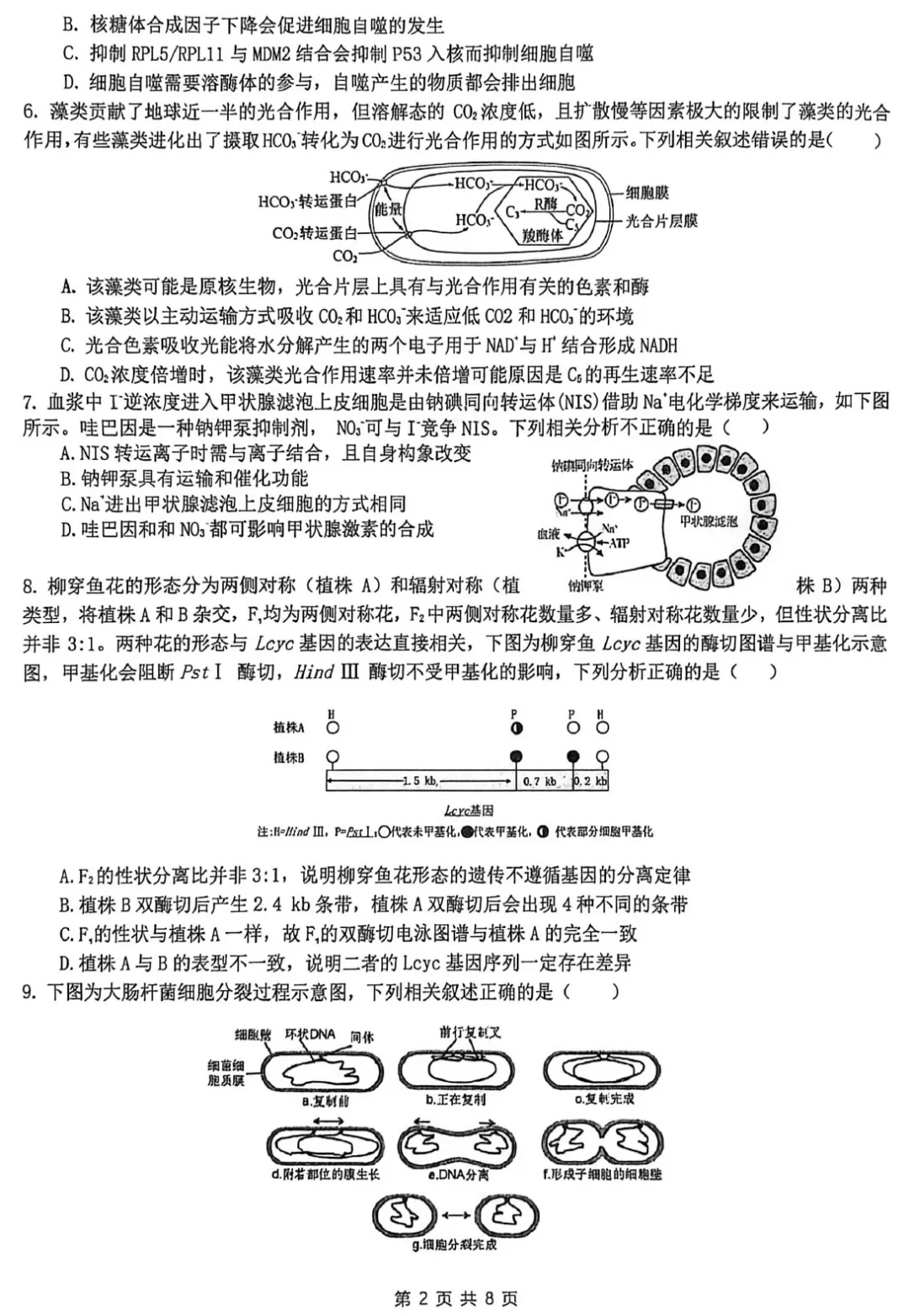 华中师范大学第一附属中学2026届高三模拟考试生物学试题及答案解析-第4张图片-四季读书网 华中师范大学第一附属中学2026届高三模拟考试生物学试题及答案解析-第4张图片-四季读书网