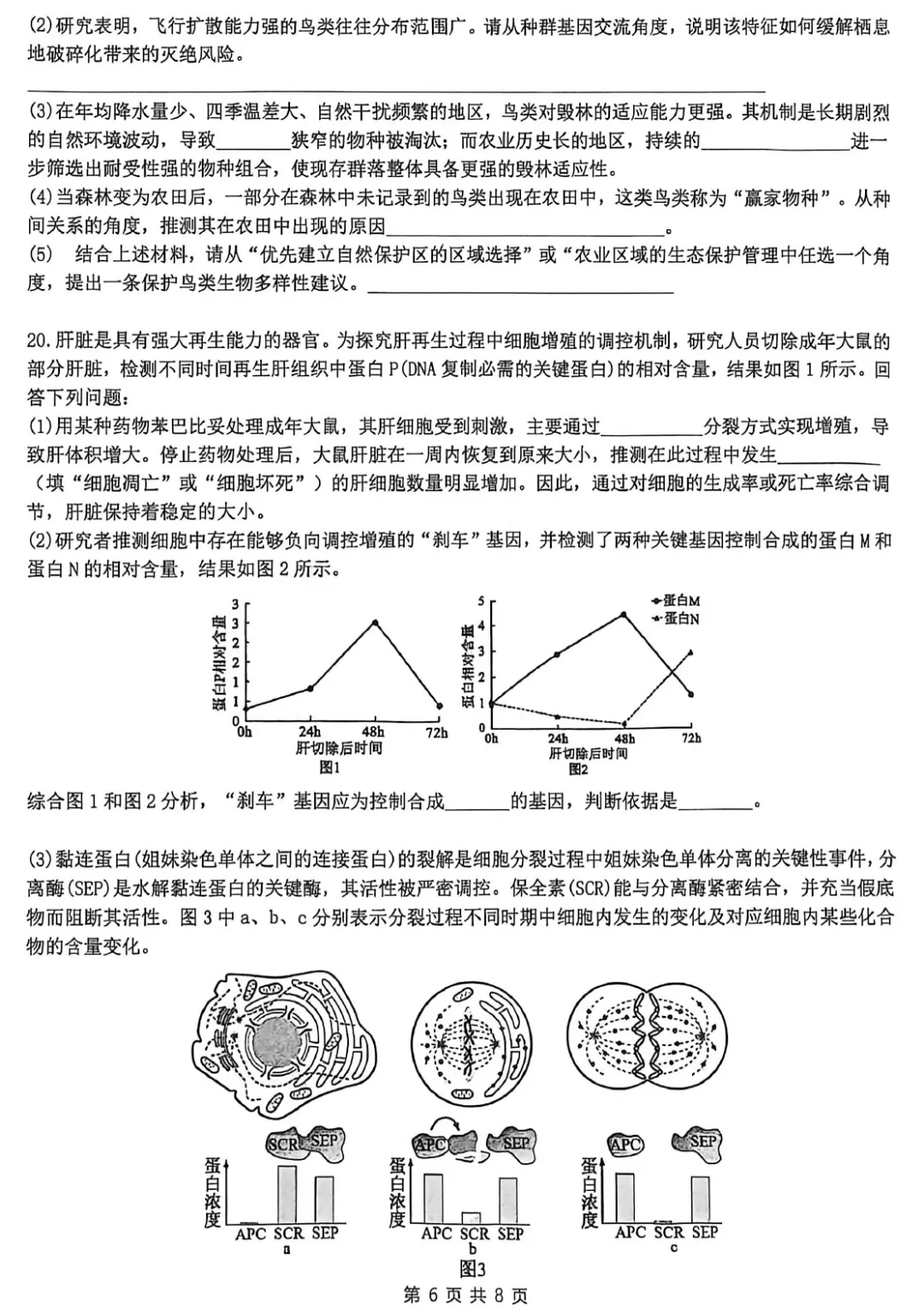 华中师范大学第一附属中学2026届高三模拟考试生物学试题及答案解析-第8张图片-四季读书网 华中师范大学第一附属中学2026届高三模拟考试生物学试题及答案解析-第8张图片-四季读书网