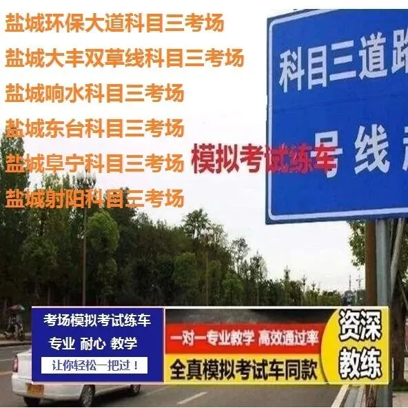 盐城东台科目二,科目三考场考试视频专业讲解路线图模拟练车教程教学车-第6张图片-四季读书网