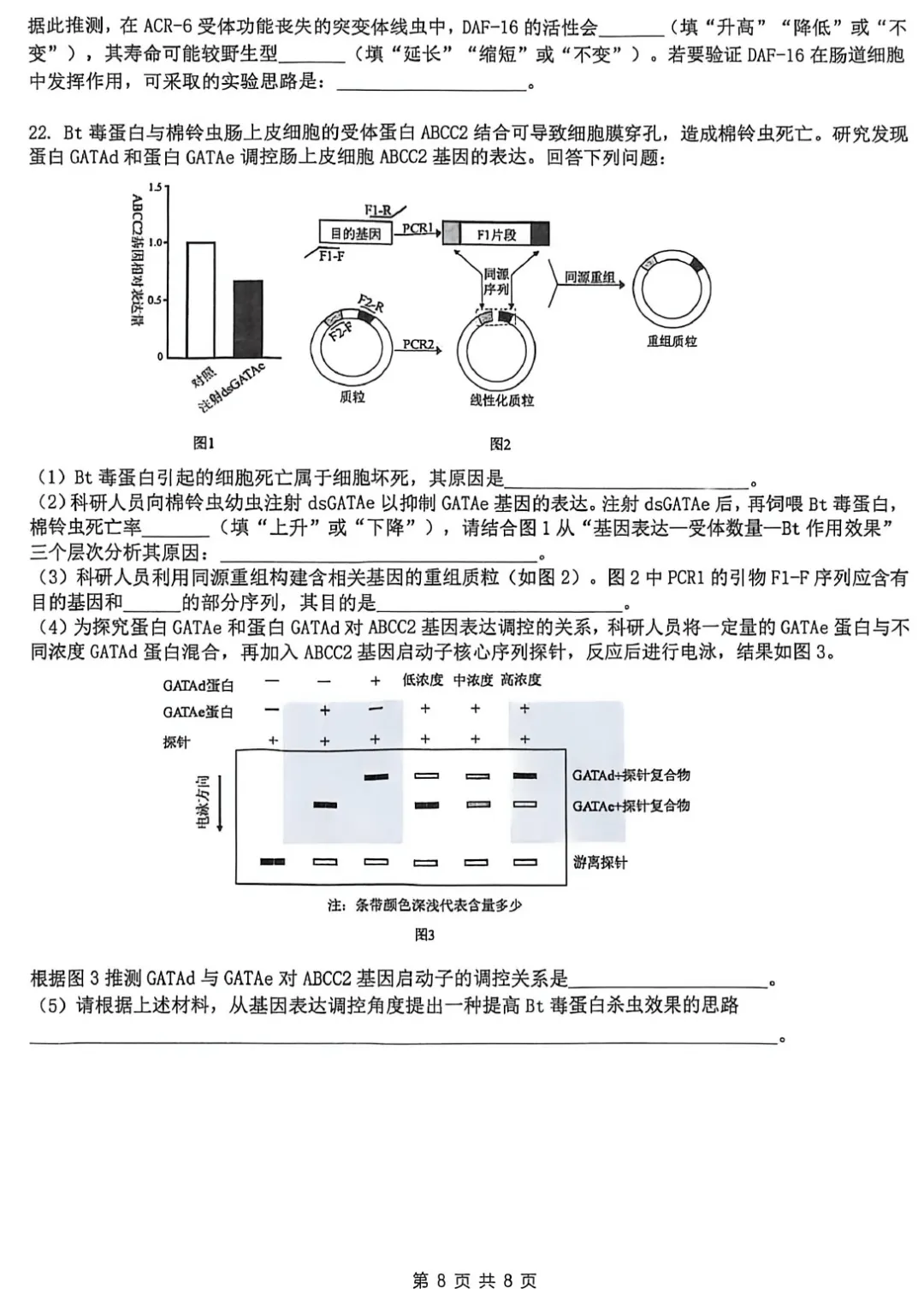 华中师范大学第一附属中学2026届高三模拟考试生物学试题及答案解析-第10张图片-四季读书网 华中师范大学第一附属中学2026届高三模拟考试生物学试题及答案解析-第10张图片-四季读书网