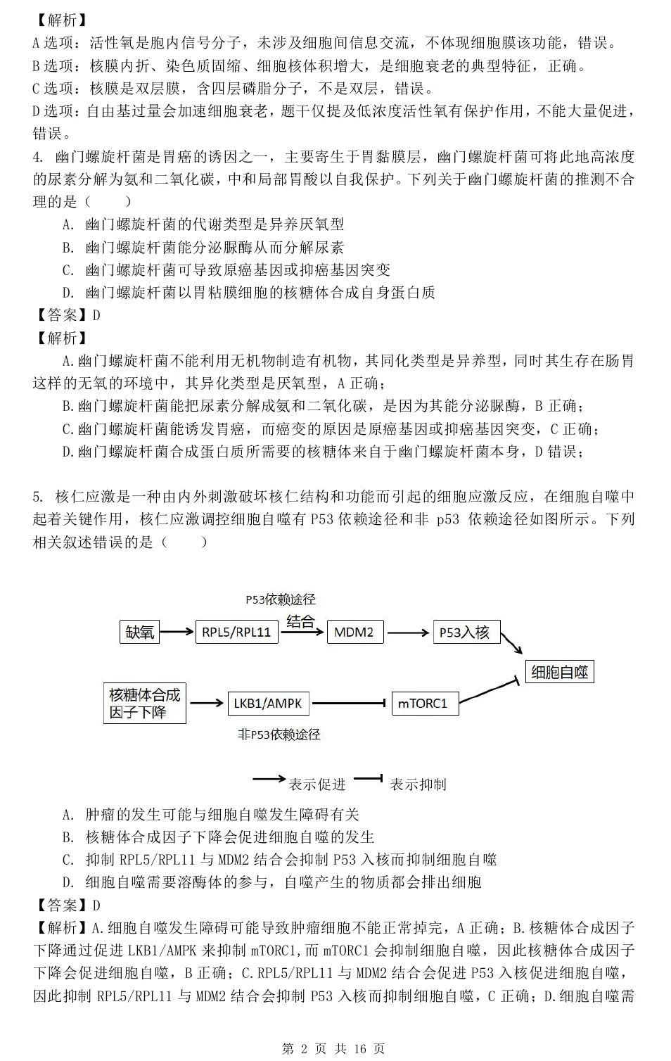 华中师范大学第一附属中学2026届高三模拟考试生物学试题及答案解析-第12张图片-四季读书网 华中师范大学第一附属中学2026届高三模拟考试生物学试题及答案解析-第12张图片-四季读书网