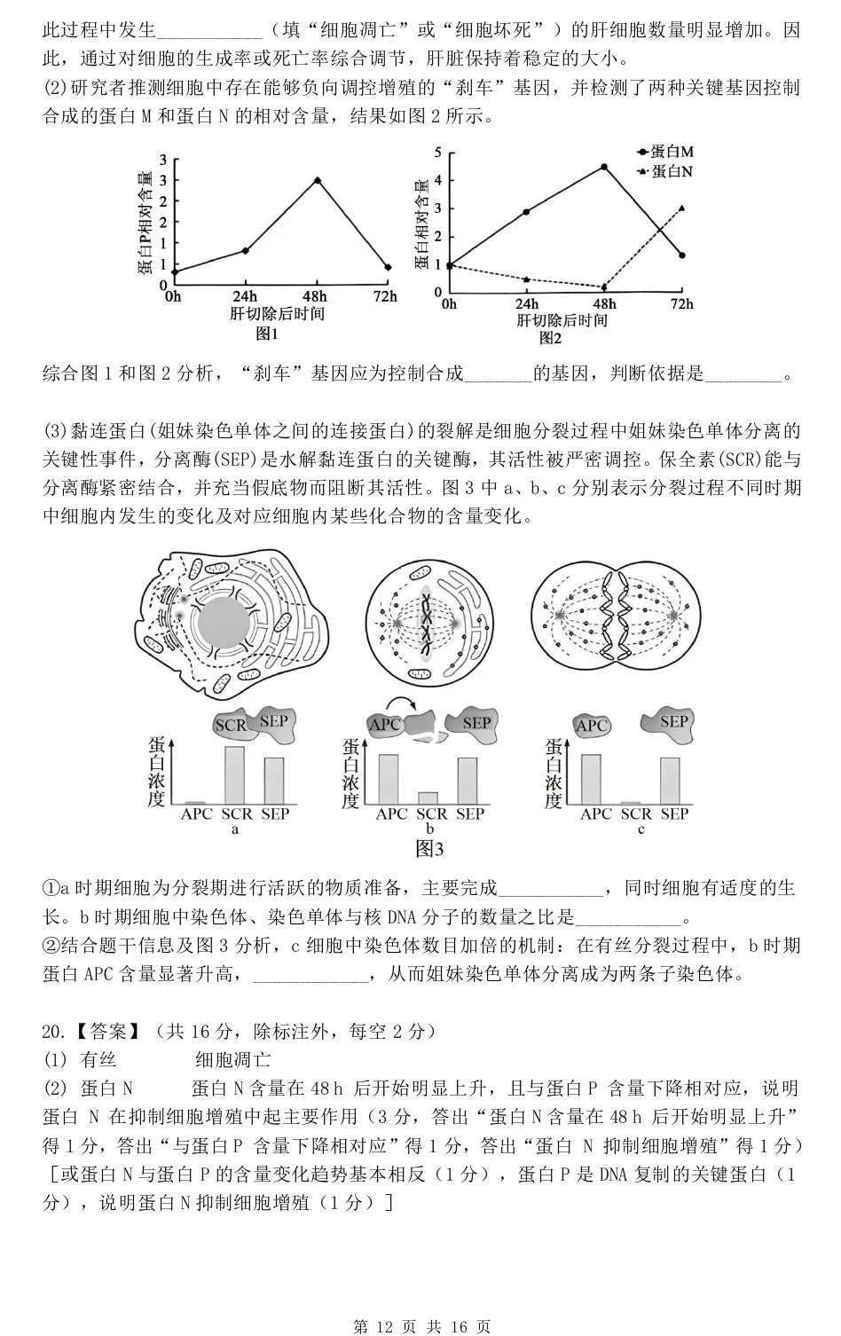 华中师范大学第一附属中学2026届高三模拟考试生物学试题及答案解析-第22张图片-四季读书网 华中师范大学第一附属中学2026届高三模拟考试生物学试题及答案解析-第22张图片-四季读书网