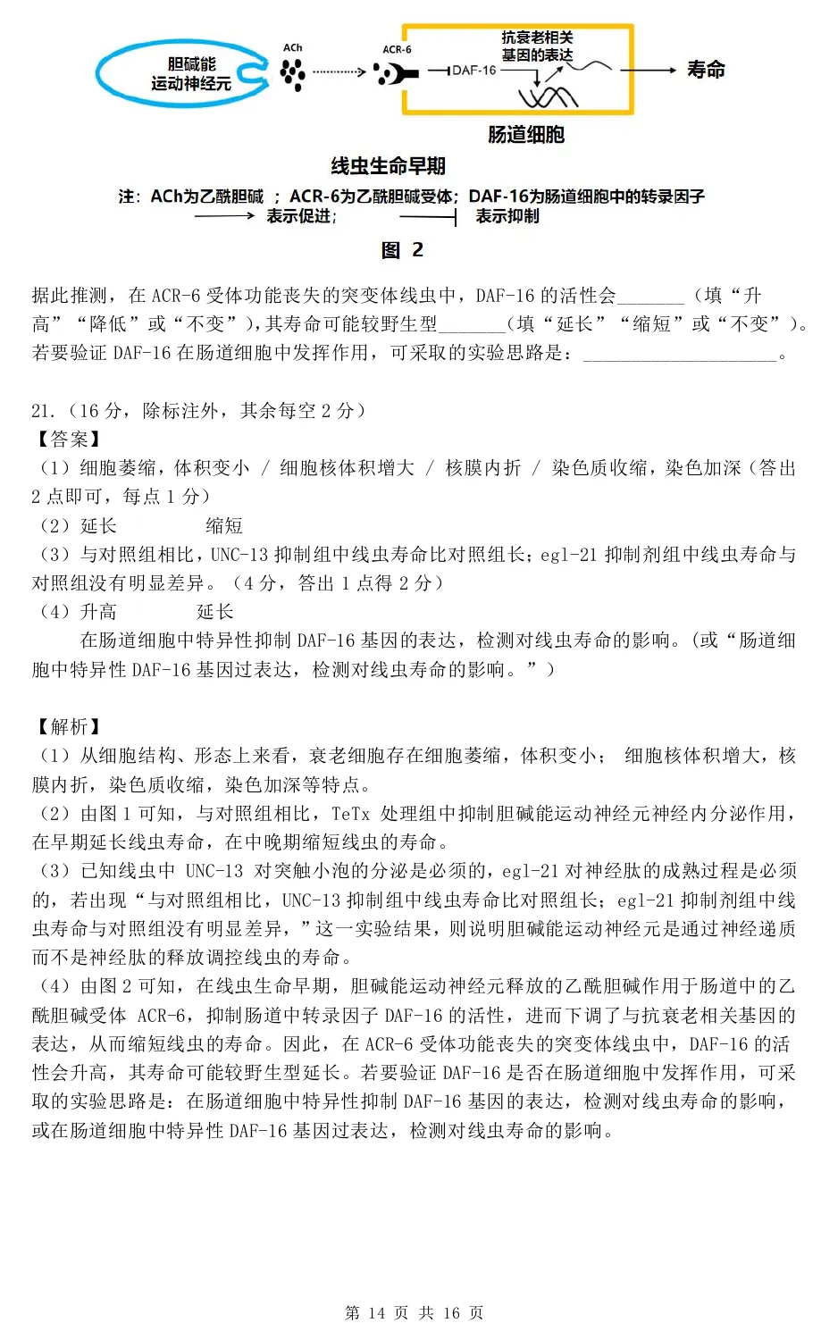 华中师范大学第一附属中学2026届高三模拟考试生物学试题及答案解析-第24张图片-四季读书网 华中师范大学第一附属中学2026届高三模拟考试生物学试题及答案解析-第24张图片-四季读书网