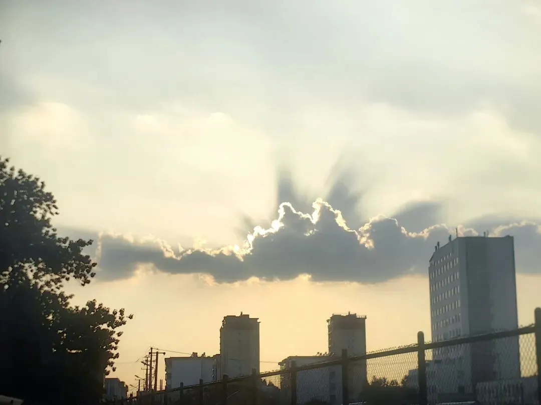 历年高考英语真题完形填空高频词汇(二)-第1张图片-四季读书网