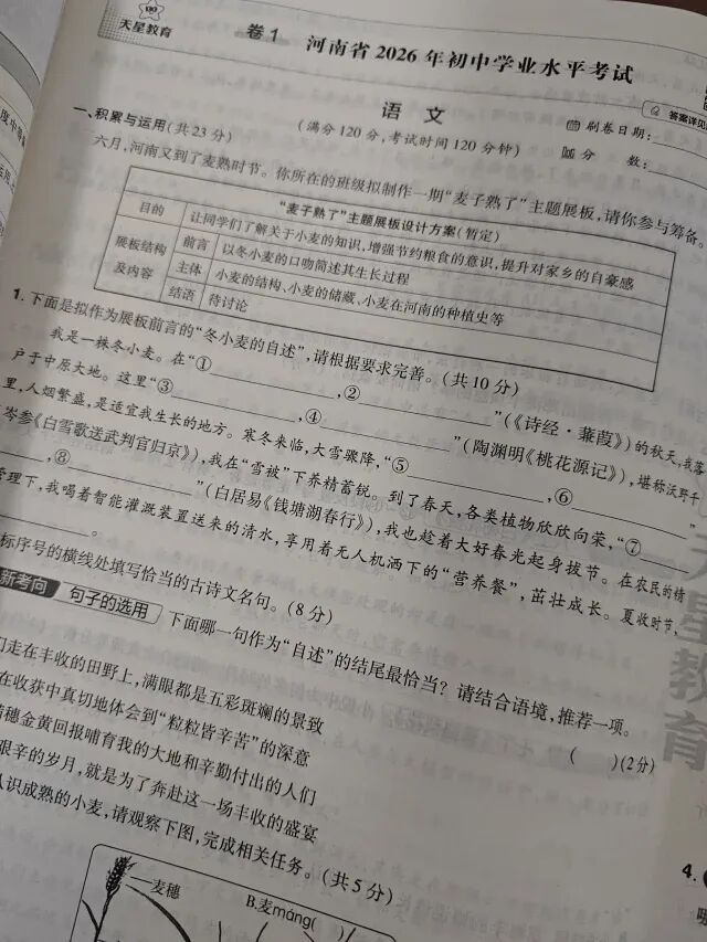 2027河南中考必备-近五年河南中考真题汇编-第11张图片-四季读书网