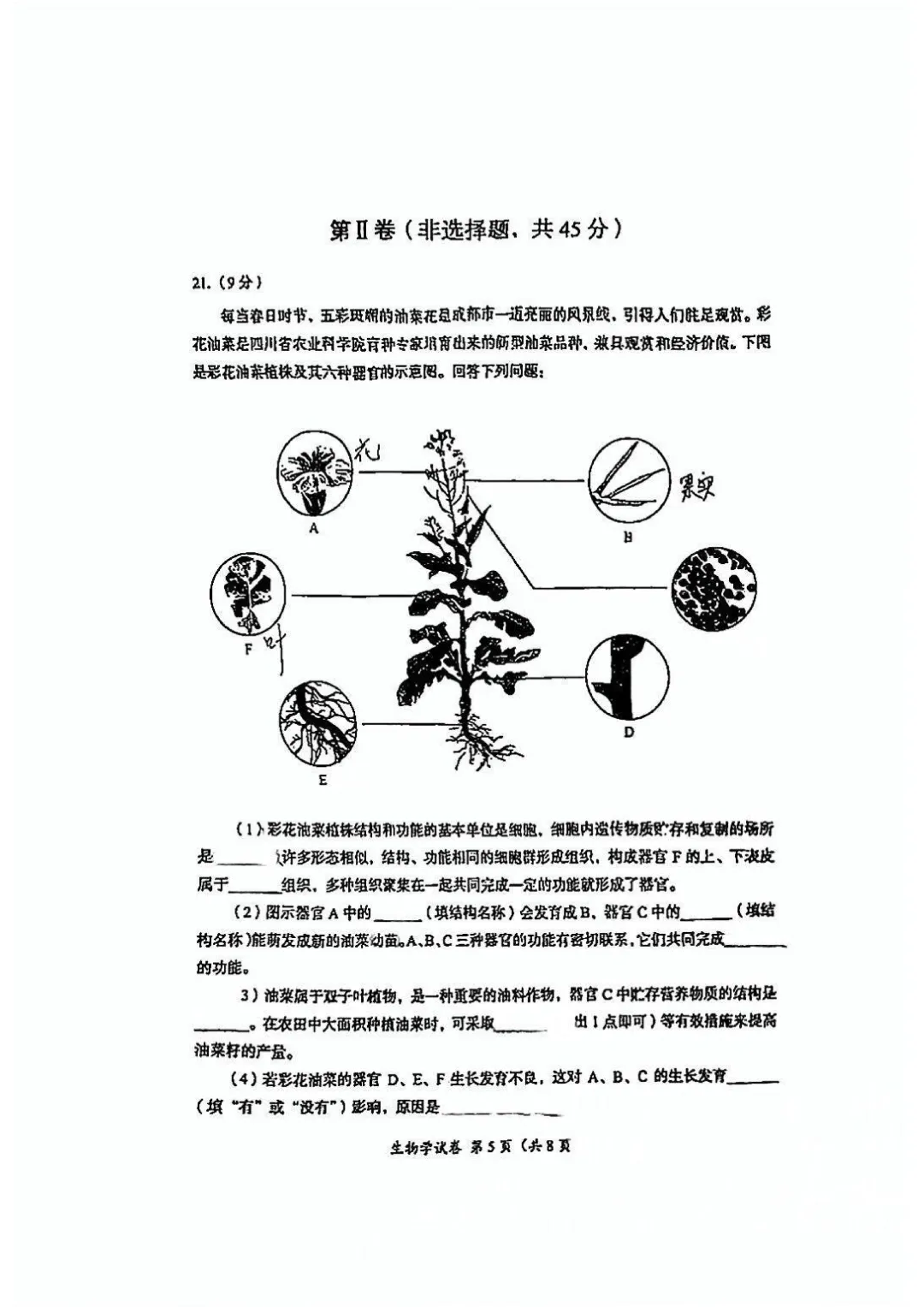 2025成都中考生物真题与答案-第5张图片-四季读书网