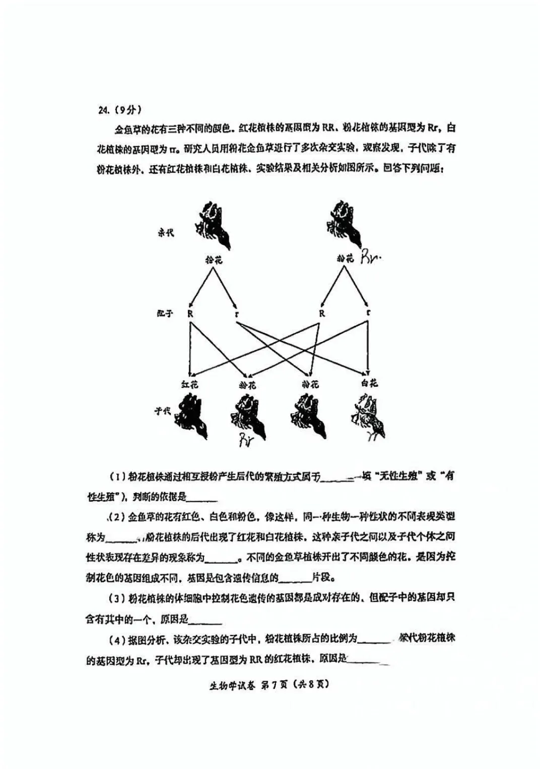 2025成都中考生物真题与答案-第7张图片-四季读书网