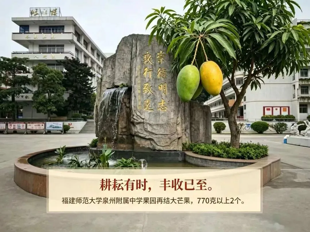 【最终版】大泉州2026年中考成绩盘点、各校喜报汇总!涉及各县(市区)……-第28张图片-四季读书网 【最终版】大泉州2026年中考成绩盘点、各校喜报汇总!涉及各县(市区)……-第28张图片-四季读书网