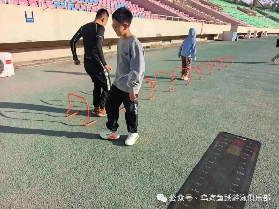 中考体育、体能训练招生-第10张图片-四季读书网