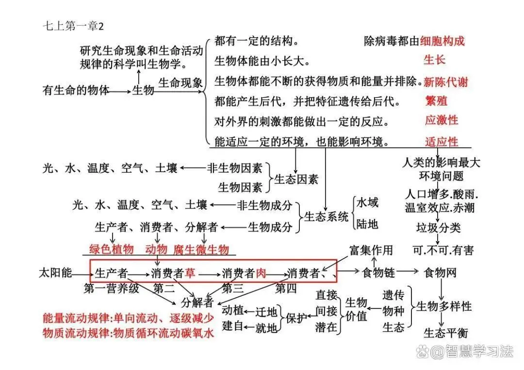 初中(中考)生物知识复习专用,思维导图结构!考点重点一目了然-第2张图片-四季读书网 初中(中考)生物知识复习专用,思维导图结构!考点重点一目了然-第2张图片-四季读书网