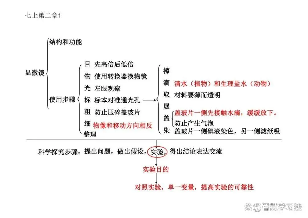 初中(中考)生物知识复习专用,思维导图结构!考点重点一目了然-第3张图片-四季读书网 初中(中考)生物知识复习专用,思维导图结构!考点重点一目了然-第3张图片-四季读书网