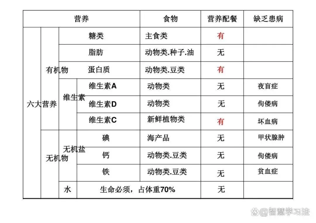 初中(中考)生物知识复习专用,思维导图结构!考点重点一目了然-第8张图片-四季读书网 初中(中考)生物知识复习专用,思维导图结构!考点重点一目了然-第8张图片-四季读书网