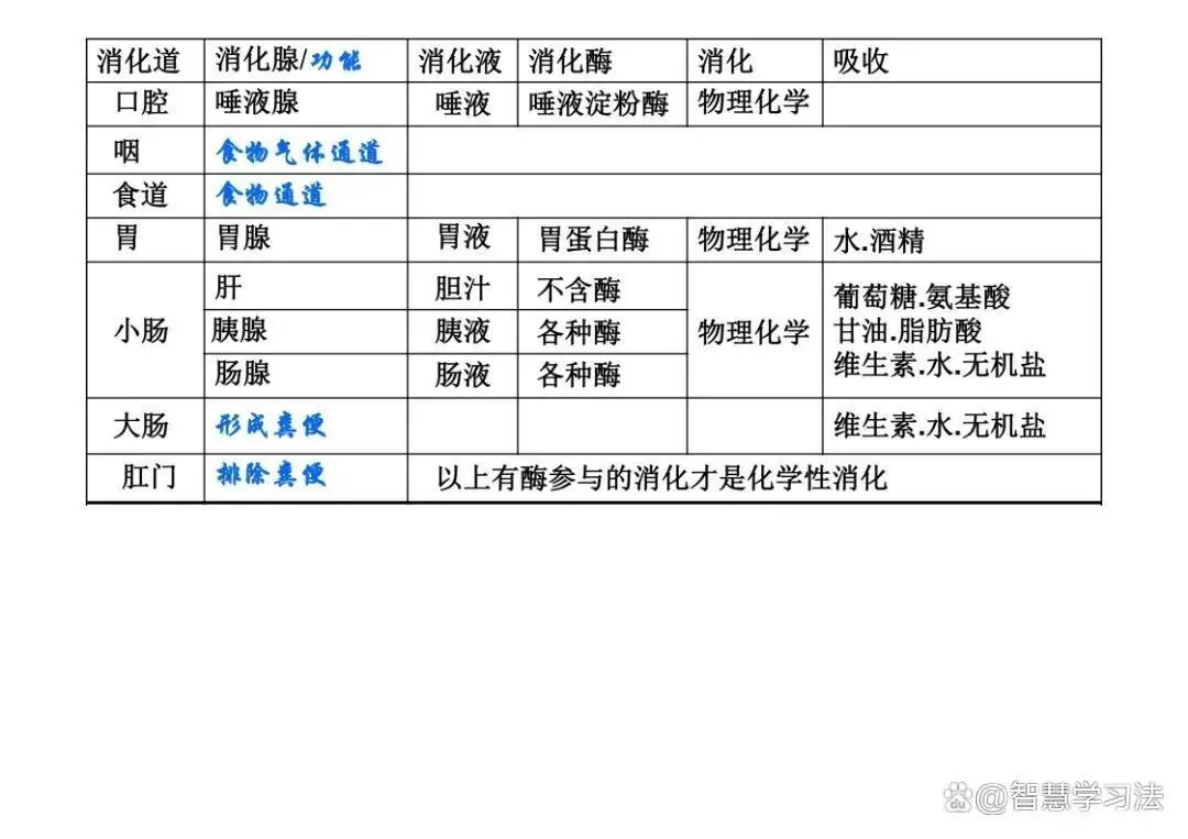 初中(中考)生物知识复习专用,思维导图结构!考点重点一目了然-第10张图片-四季读书网 初中(中考)生物知识复习专用,思维导图结构!考点重点一目了然-第10张图片-四季读书网