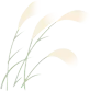 七下语文暑期复习:《骆驼祥子》真题精选 (试题)-第1张图片-四季读书网 七下语文暑期复习:《骆驼祥子》真题精选 (试题)-第1张图片-四季读书网