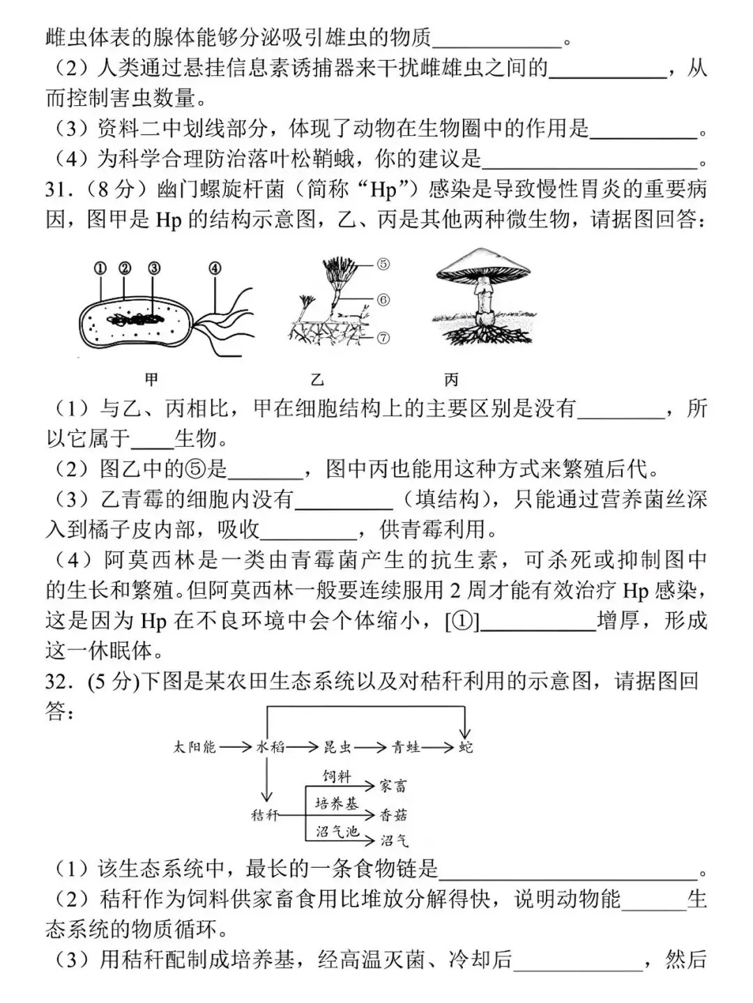 八年级第一学期生物期中押题试卷,是孩子在暑假检测预习情况的好帮手!-第6张图片-四季读书网
