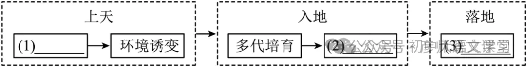 【中考真题】2026年湖南省中考语文试题及答案!-第4张图片-四季读书网 【中考真题】2026年湖南省中考语文试题及答案!-第4张图片-四季读书网