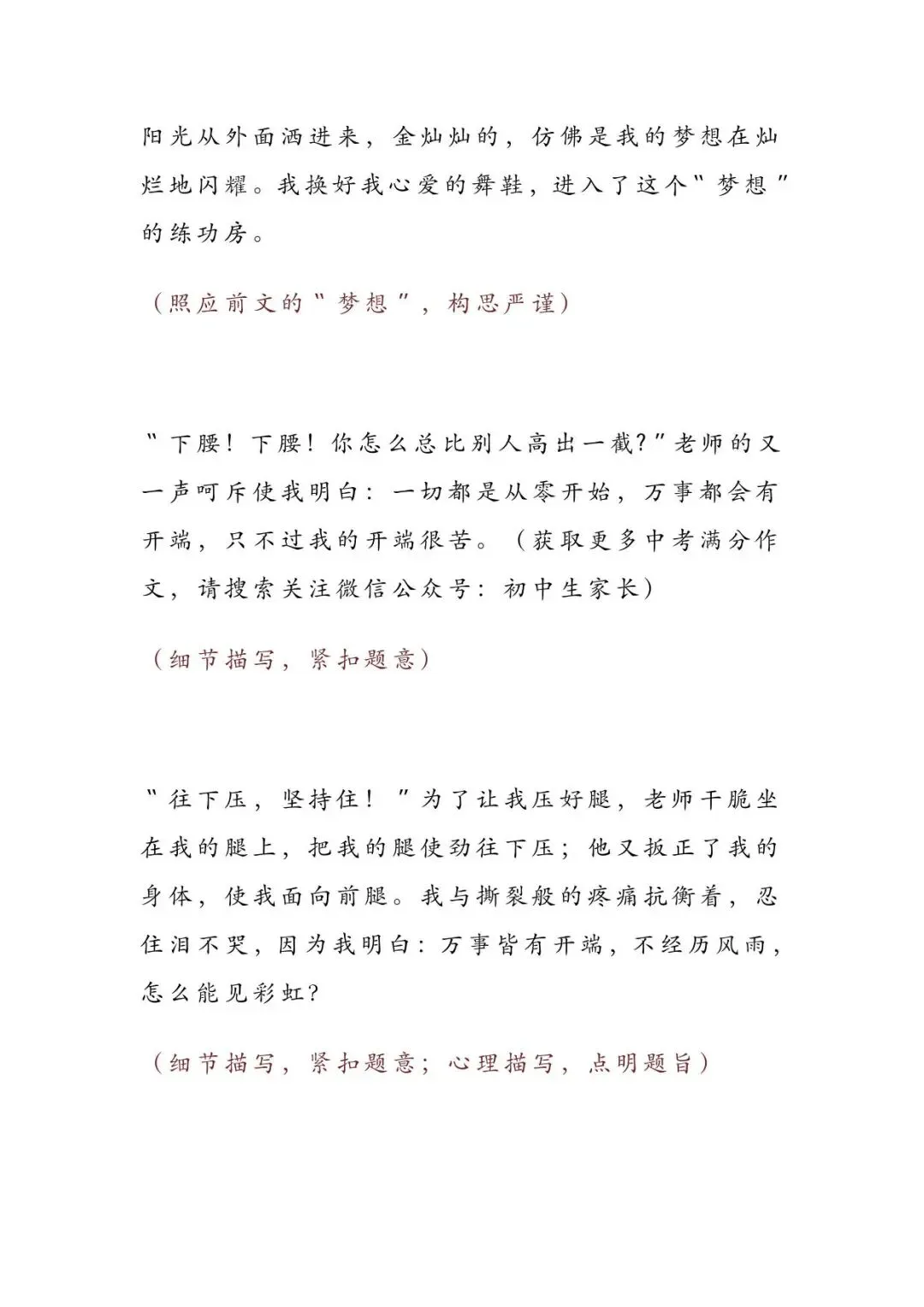 8篇历届中考语文满分作文赏析大汇总-第5张图片-四季读书网