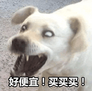 暑期福利!2027厦大考研真题资料折扣优惠!-第3张图片-四季读书网 暑期福利!2027厦大考研真题资料折扣优惠!-第3张图片-四季读书网