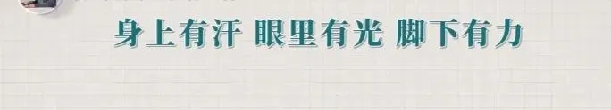 从模型建构到素养生成:中考“综合与实践”试题分析与教学-第4张图片-四季读书网