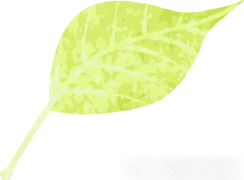 考研英语二越来越难?17年真题数据给你一个靠谱的答案-第10张图片-四季读书网 考研英语二越来越难?17年真题数据给你一个靠谱的答案-第10张图片-四季读书网