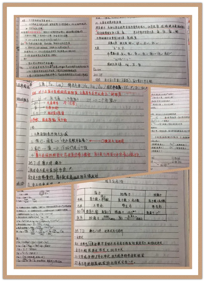 我的那些深圳中考物理化学高分的孩子们第4篇|父母通透有度,孩子方能向阳上岸-第3张图片-四季读书网