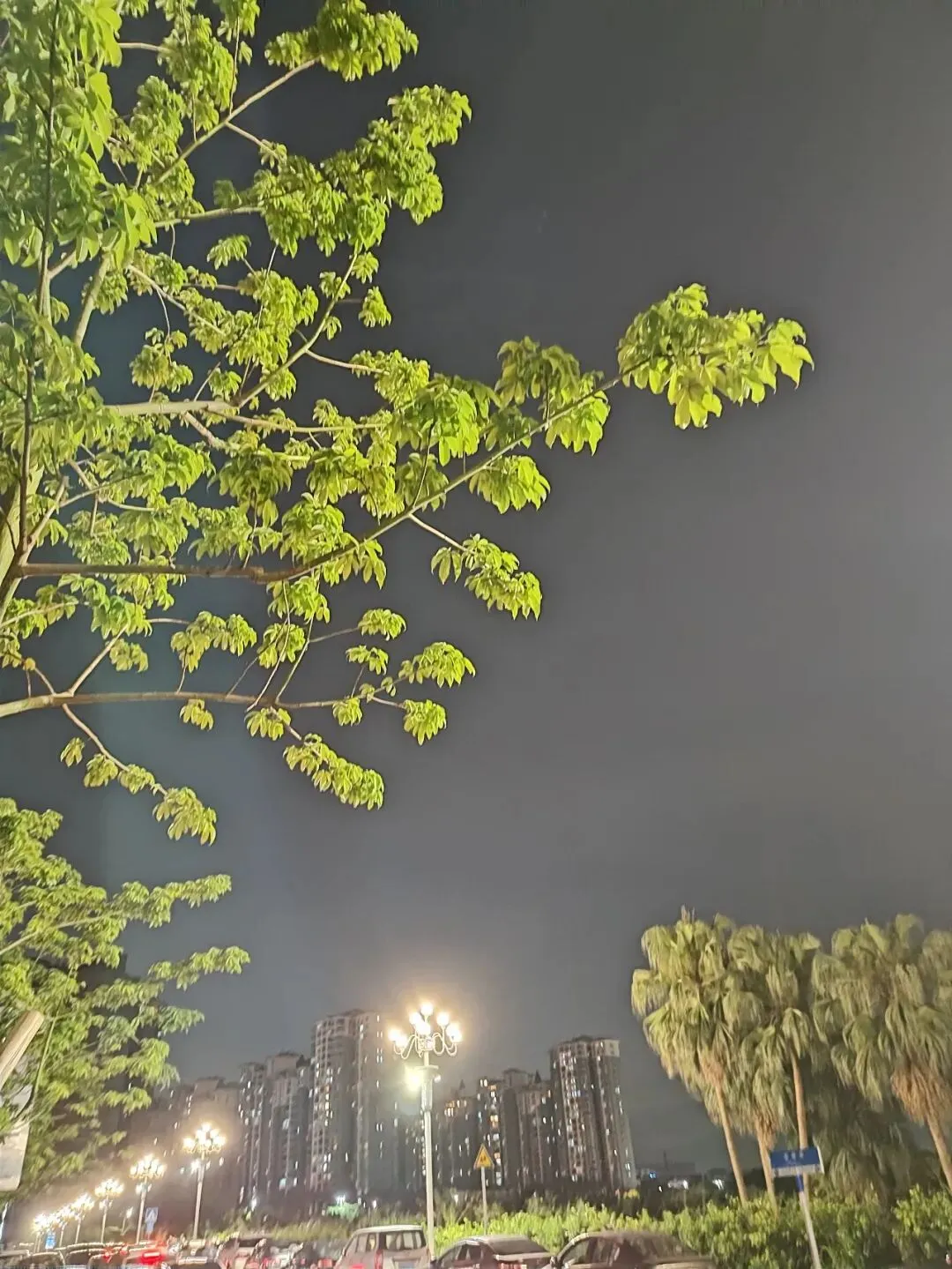 中考,有时候需要退一步,入读中职学校,也需要家长的布局-第1张图片-四季读书网