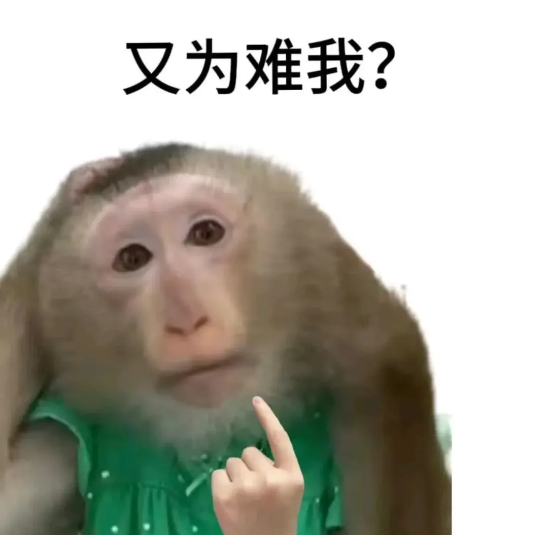 9 月启用!2027将迎来最难中考?内附暑假预习资料免费领!-第2张图片-四季读书网 9 月启用!2027将迎来最难中考?内附暑假预习资料免费领!-第2张图片-四季读书网