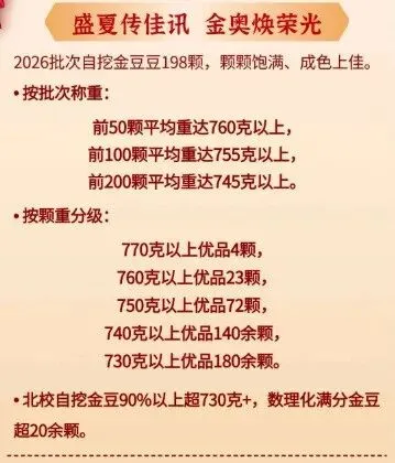 择校参考|2026中考金奥班90%超730,怎么进?-第4张图片-四季读书网 择校参考|2026中考金奥班90%超730,怎么进?-第4张图片-四季读书网