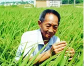 2026年中考历史真题分类汇编(辽宋夏金元时期)-第10张图片-四季读书网 2026年中考历史真题分类汇编(辽宋夏金元时期)-第10张图片-四季读书网