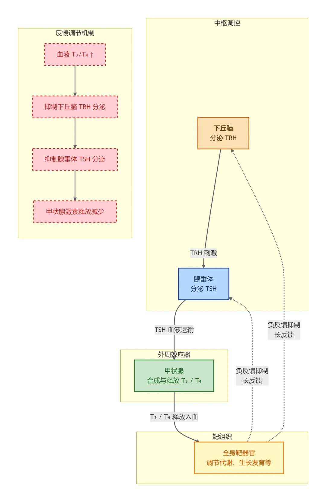 2023真题考点 | 临床生物化学检验知识点详解-第3张图片-四季读书网 2023真题考点 | 临床生物化学检验知识点详解-第3张图片-四季读书网