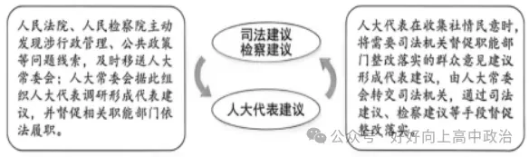 真题 | 2026年高考政治必修(三)政治与法治-第2张图片-四季读书网 真题 | 2026年高考政治必修(三)政治与法治-第2张图片-四季读书网